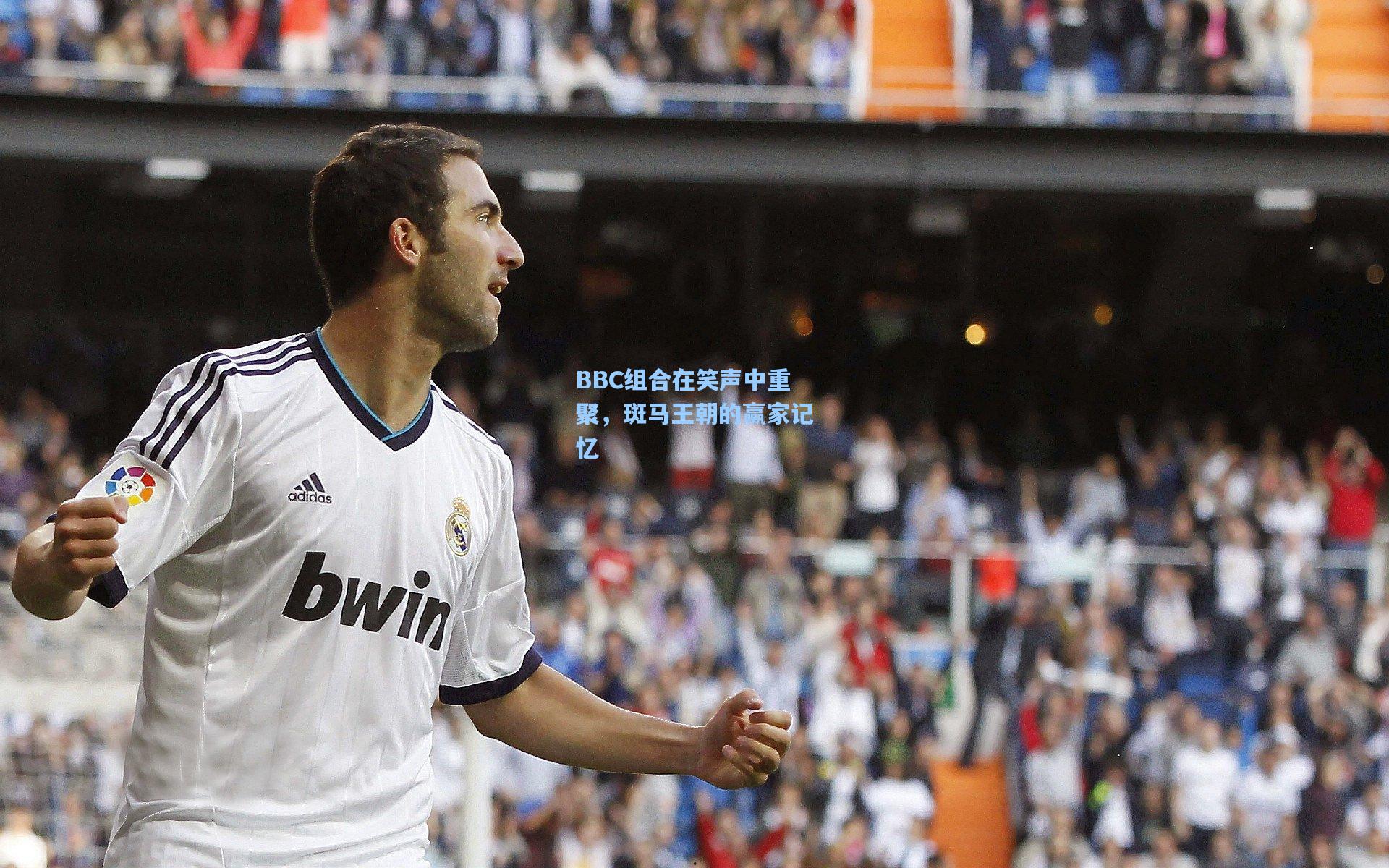 BBC组合在笑声中重聚,斑马王朝的赢家记忆