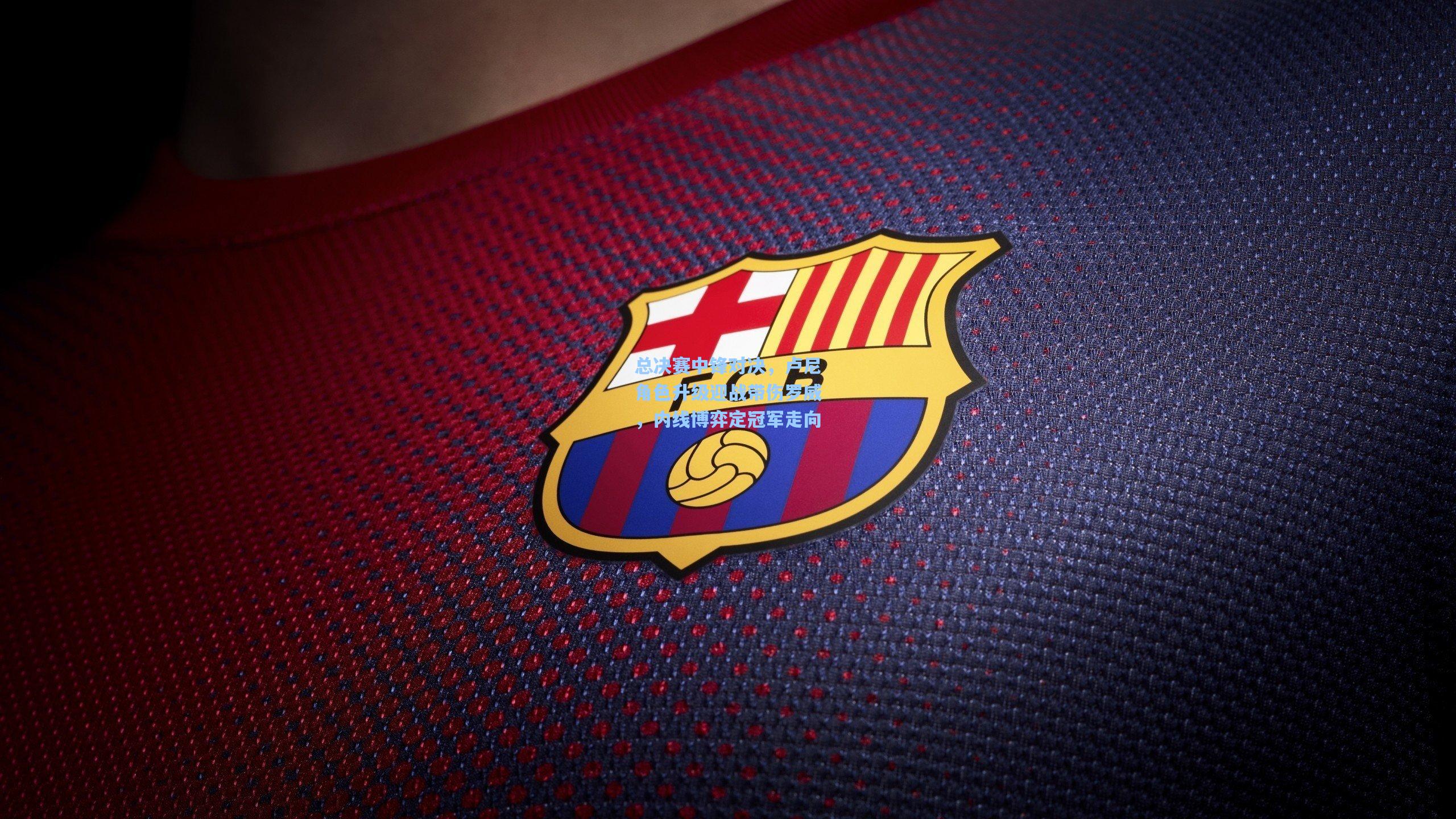 总决赛中锋对决，卢尼角色升级迎战带伤罗威，内线博弈定冠军走向