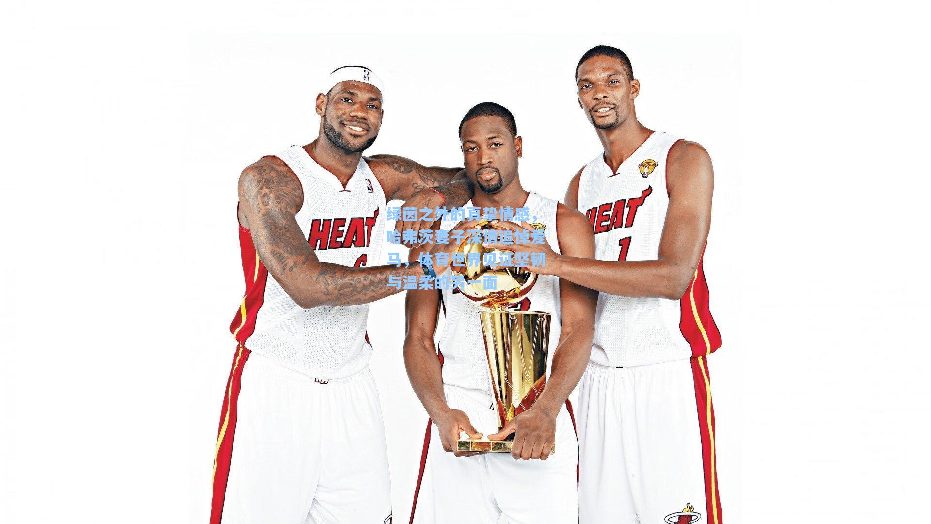 绿茵之外的真挚情感，哈弗茨妻子深情追悼爱马，体育世界见证坚韧与温柔的另一面